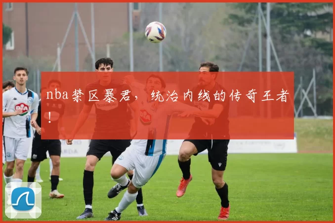 nba禁区暴君,统治内线的传奇王者!