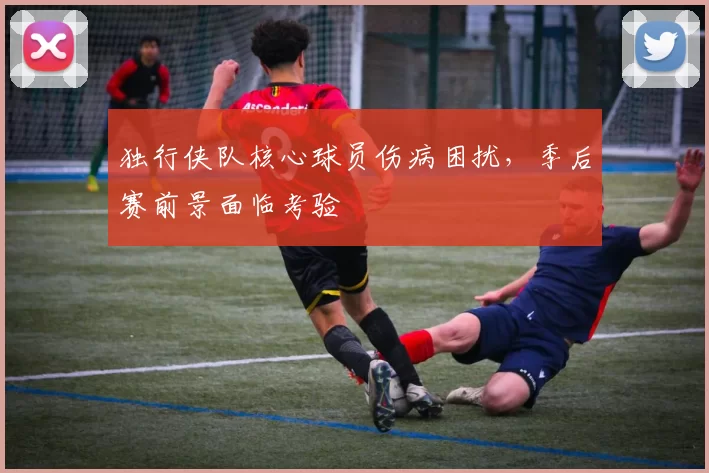 独行侠队核心球员伤病困扰，季后赛前景面临考验