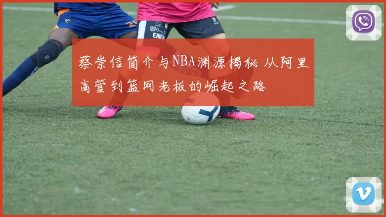 蔡崇信简介与NBA渊源揭秘 从阿里高管到篮网老板的崛起之路