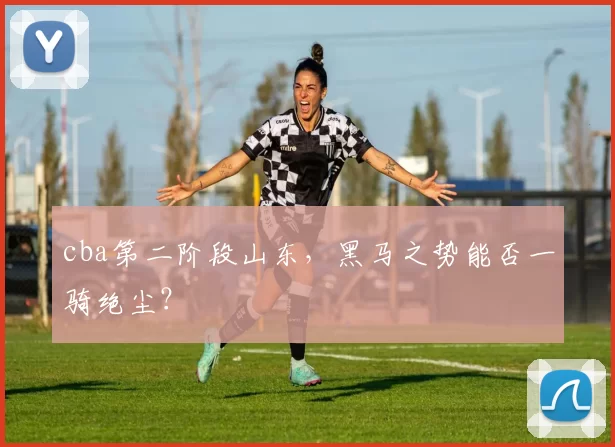 cba第二阶段山东,黑马之势能否一骑绝尘?