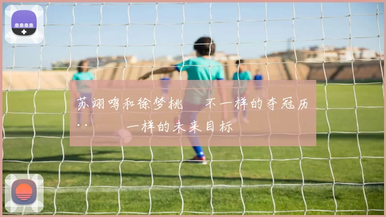 苏翊鸣和徐梦桃  不一样的夺冠历程  一样的未来目标