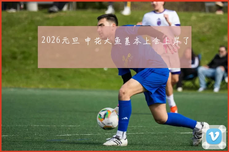 2026元旦 申花大鱼基本上会上岸了