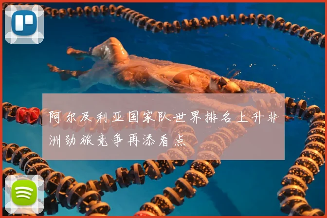 阿尔及利亚国家队世界排名上升非洲劲旅竞争再添看点