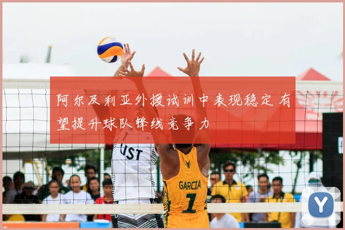 阿尔及利亚外援试训中表现稳定 有望提升球队锋线竞争力