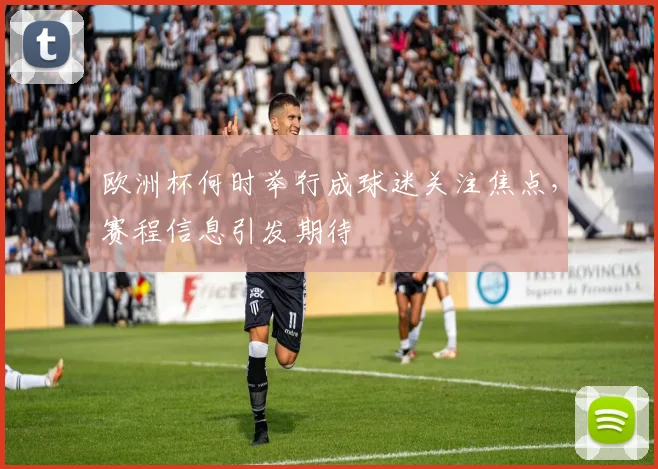 欧洲杯何时举行成球迷关注焦点,赛程信息引发期待