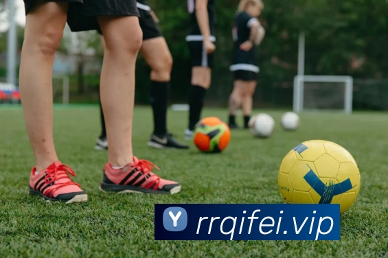 开云·kaiyun体育(中国大陆)官方网站 登录入口平台生态图